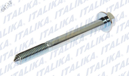 [F03020075] TORNILLO PARRILLA, SPORT FT125 SPORT, XFT125, FT125 NEW SPORT, FT125 CLASICA, FT125 CHAKARERA